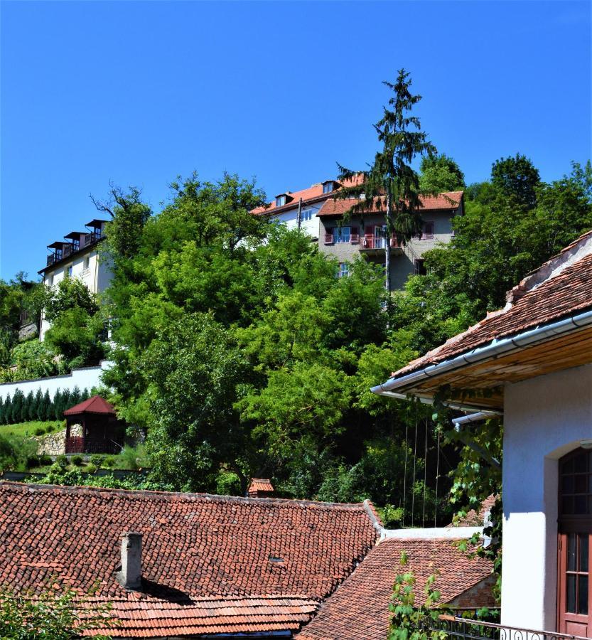 Eco Studio Brasov Exterior photo